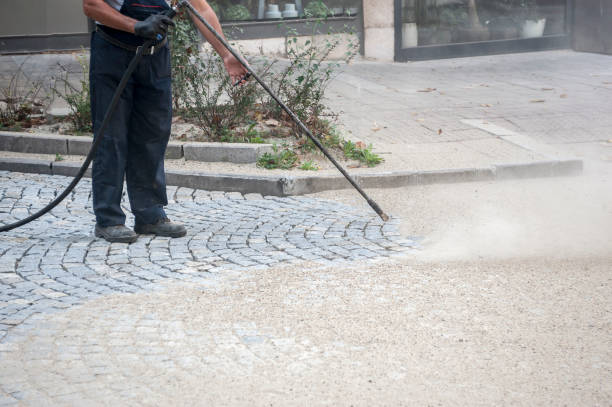 Animal Enclosure Cleaning in Brickerville, PA